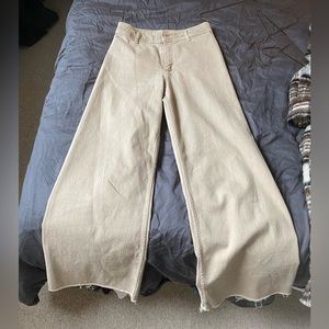 Zara Marine Straight Beige pants